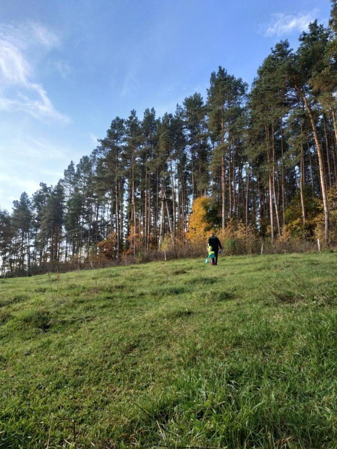 Domki Nad Jeziorem - Zalesie 7D Zalesie (Olsztyn) Esterno foto