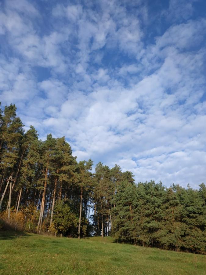 Domki Nad Jeziorem - Zalesie 7D Zalesie (Olsztyn) Esterno foto