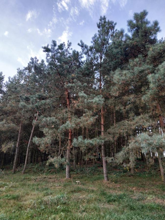 Domki Nad Jeziorem - Zalesie 7D Zalesie (Olsztyn) Esterno foto